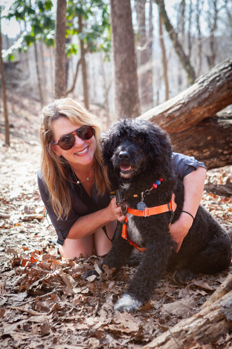 Dog on hike with guide