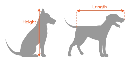 dog measurement calculator